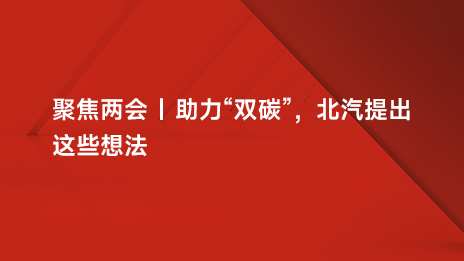 聚焦两会 | 助力“双碳”，尊龙凯时提出这些想法